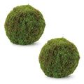 Set of Two 9" Green And Brown Artificial Moss  Warm Home View