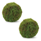 Set of Two 9" Green And Brown Artificial Moss  Warm Home View