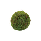 Set of Two 9" Green And Brown Artificial Moss  Warm Home View