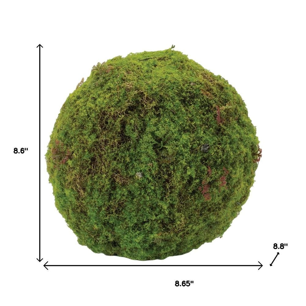 Set of Two 9" Green And Brown Artificial Moss  Warm Home View