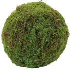 Set of Two 9" Green And Brown Artificial Moss  Warm Home View