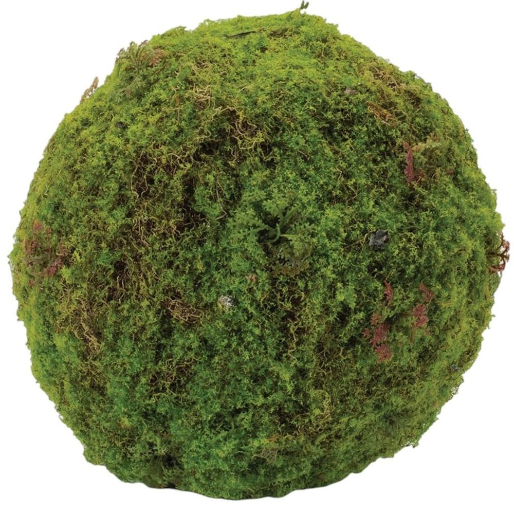 Set of Two 9" Green And Brown Artificial Moss  Warm Home View