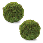 Set of Two 7" Green And Brown Artificial Moss  Warm Home View