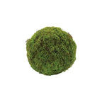 Set of Two 7" Green And Brown Artificial Moss  Warm Home View