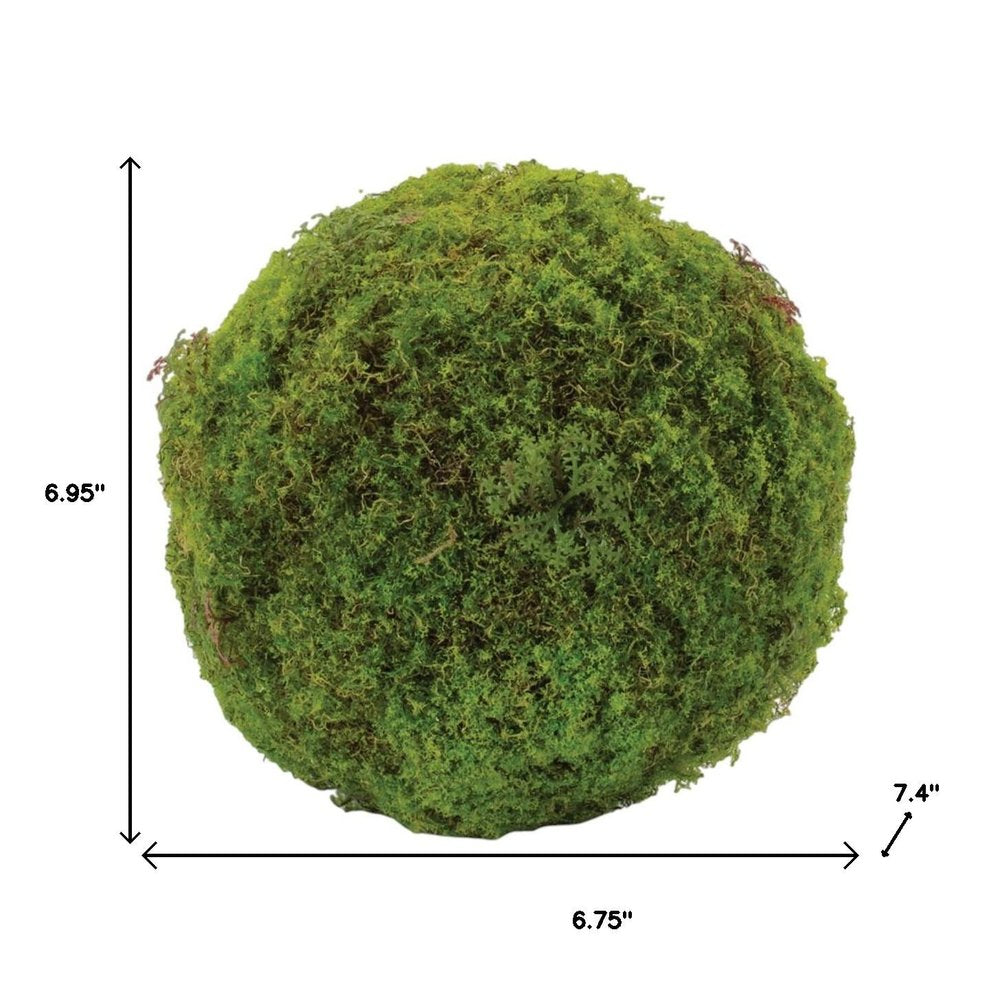 Set of Two 7" Green And Brown Artificial Moss  Warm Home View