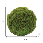 Set of Two 7" Green And Brown Artificial Moss  Warm Home View