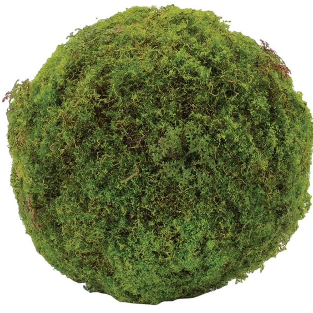 Set of Two 7" Green And Brown Artificial Moss  Warm Home View