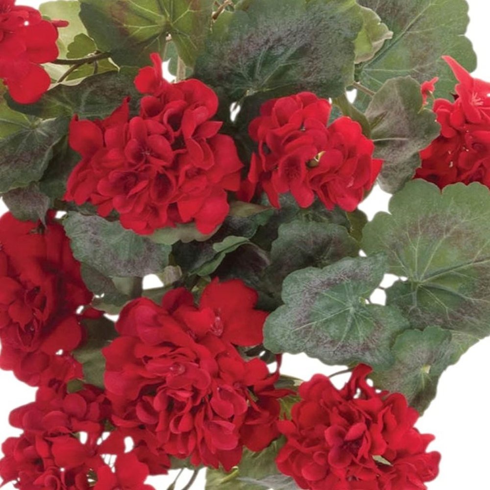 Set of Two 22" Red And Green Artificial Flowering  Warm Home View