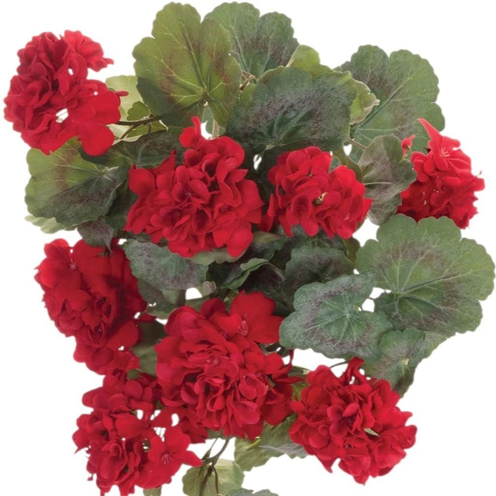 Set of Two 22" Red And Green Artificial Flowering  Warm Home View