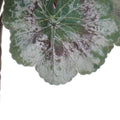 Set of Two 18" Red And Green Artificial Flowering  Warm Home View