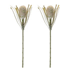 Set of Two 28" Green And White Artificial Flowering  Warm Home View