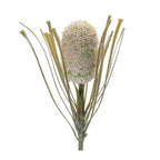 Set of Two 28" Green And White Artificial Flowering  Warm Home View