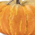 Set of Two Orange And Yellow Plastic Pumpkin Thanksgiving Pumpkin Tabletop Sculpture  Warm Home View