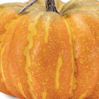 Set of Two Orange And Yellow Plastic Pumpkin Thanksgiving Pumpkin Tabletop Sculpture  Warm Home View