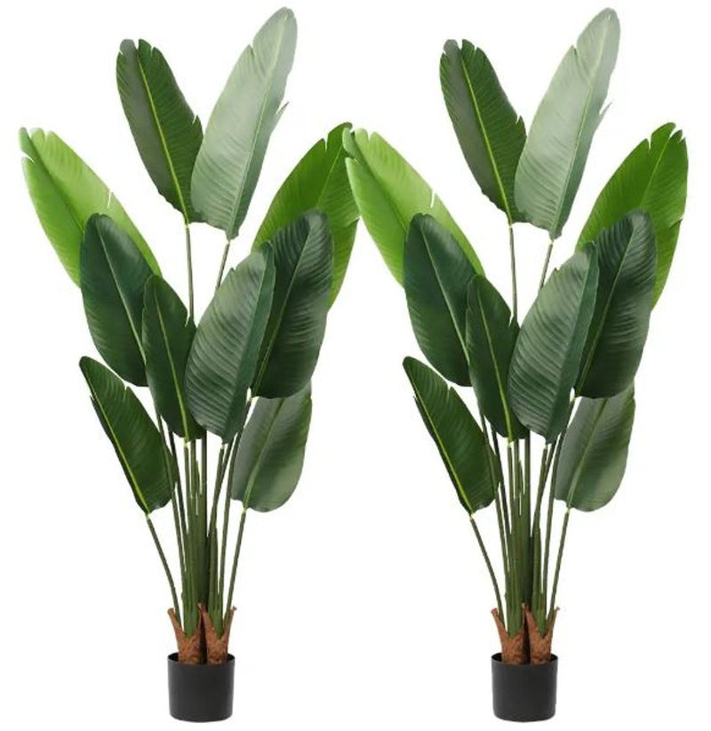Set of Two 7" Green Artificial Banana Leaf In Cylindrical Black Cement Pot  Warm Home View