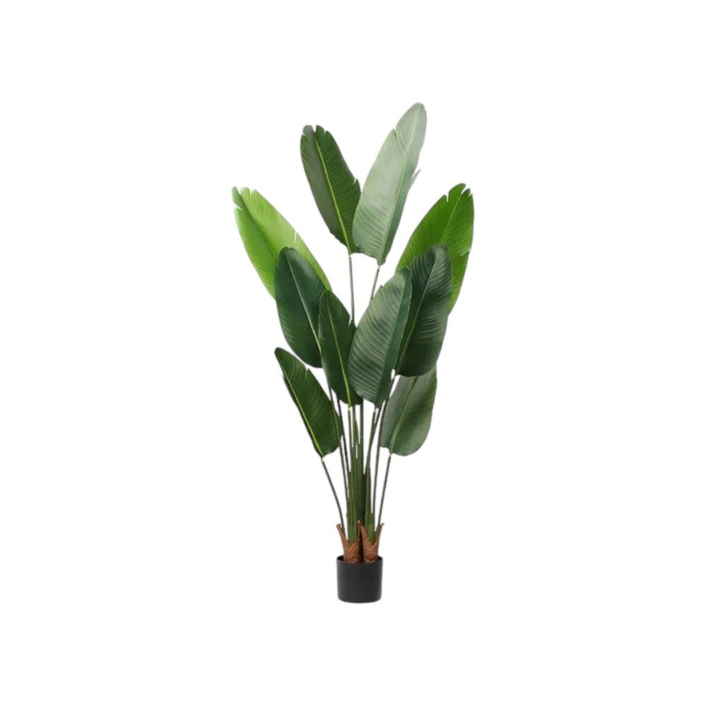 Set of Two 7" Green Artificial Banana Leaf In Cylindrical Black Cement Pot  Warm Home View