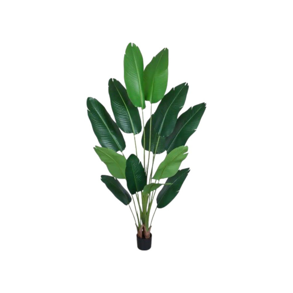 Set of Two 7" Green Artificial Banana Leaf In Cylindrical Black Cement Pot  Warm Home View