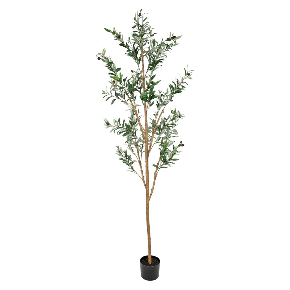 Set Of Two 84" Green Artificial Olive Trees in a Black Pot  Warm Home View