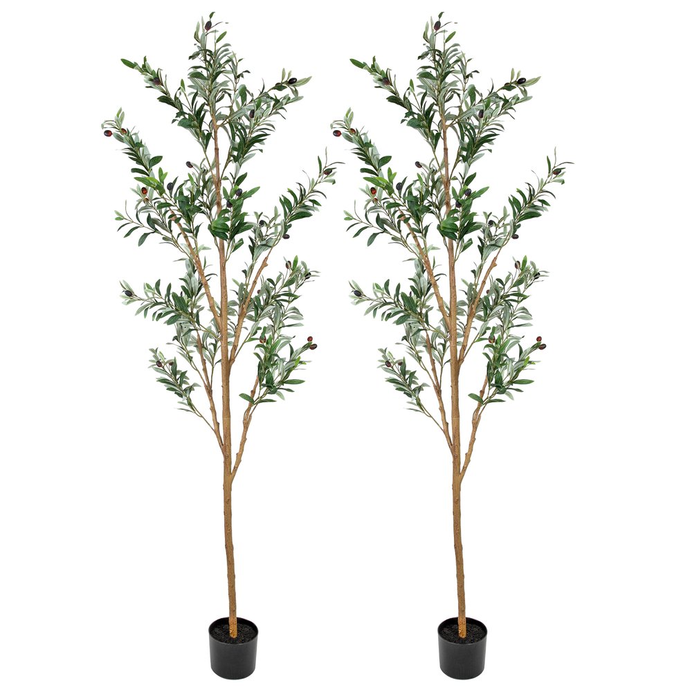 Set Of Two 84" Green Artificial Olive Trees in a Black Pot  Warm Home View