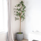 Set Of Two 84" Green Artificial Olive Trees in a Black Pot  Warm Home View