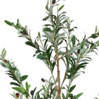 Set Of Two 84" Green Artificial Olive Trees in a Black Pot  Warm Home View