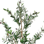 Set Of Two 84" Green Artificial Olive Trees in a Black Pot  Warm Home View