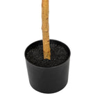 Set Of Two 84" Green Artificial Olive Trees in a Black Pot  Warm Home View