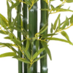 Set of Two 61" Green Artificial Bamboo Tree In Cylindrical Black Pot  Warm Home View