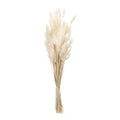Set of Two 33" Beige Artificial Plants  Warm Home View