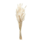 Set of Two 33" Beige Artificial Plants  Warm Home View