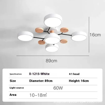 Modern Minimalist Ceiling Lamp