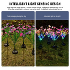 Solar Garden Stake Lights - LED Flower Waterproof, 1-Piece  Warm Home View