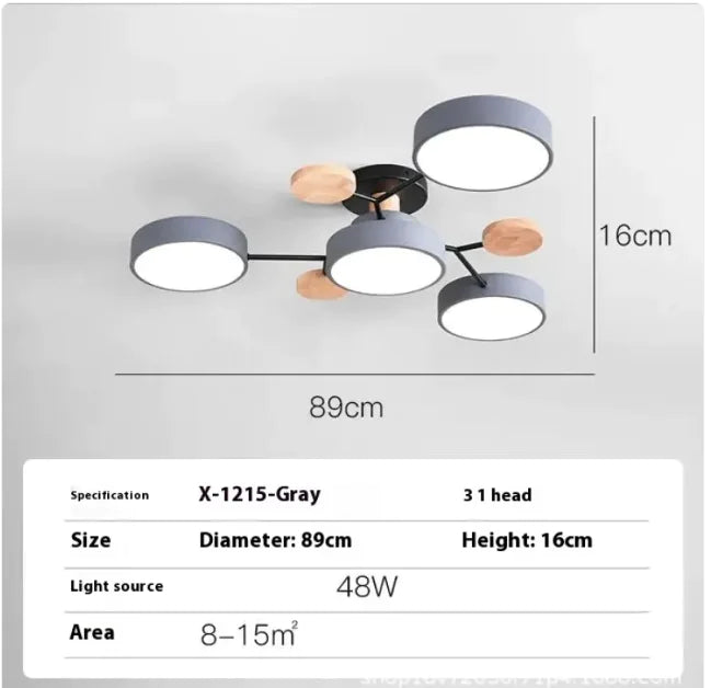 Modern Minimalist Ceiling Lamp