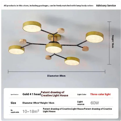 Modern Minimalist Ceiling Lamp