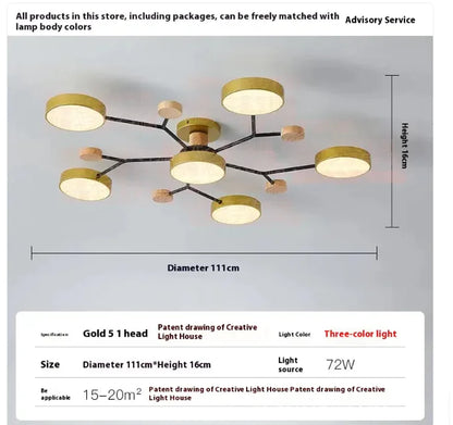 Modern Minimalist Ceiling Lamp